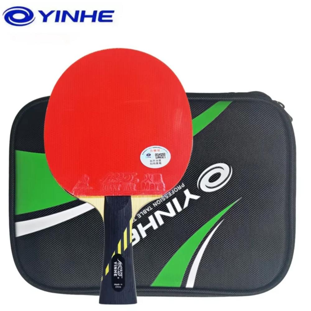 Table Tennis Viscaria - Raquette de tennis de table professionnelle