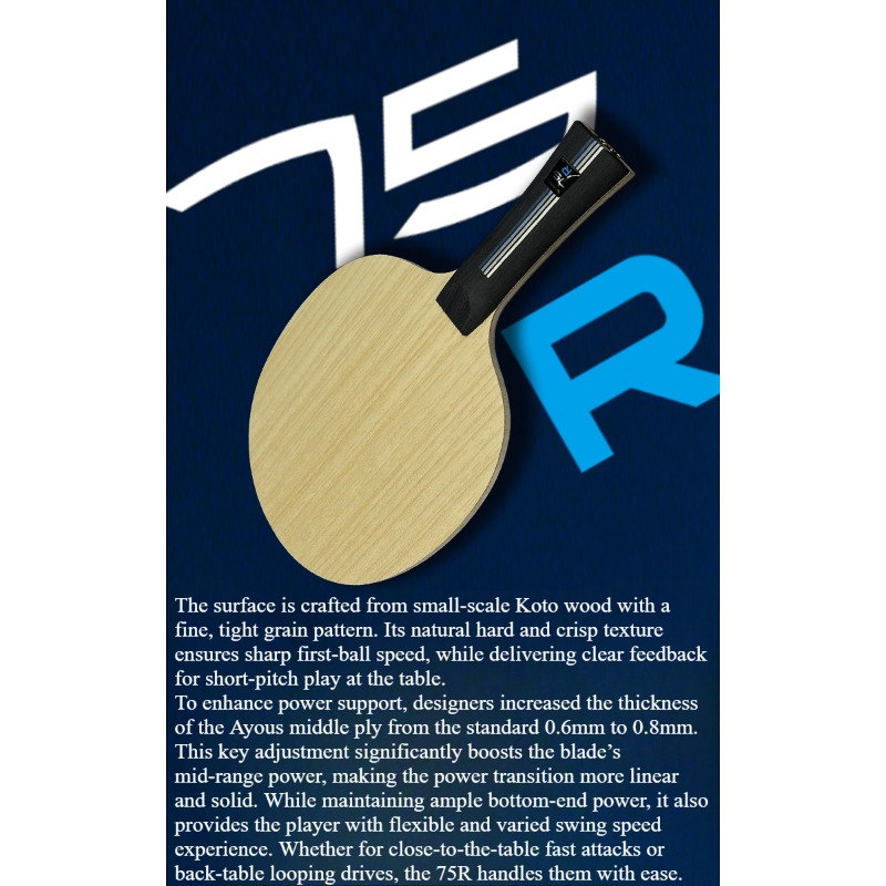 SANWEI 75R 5+2 Outer H-GLC Tab - Table Tennis Paddles avis et prix