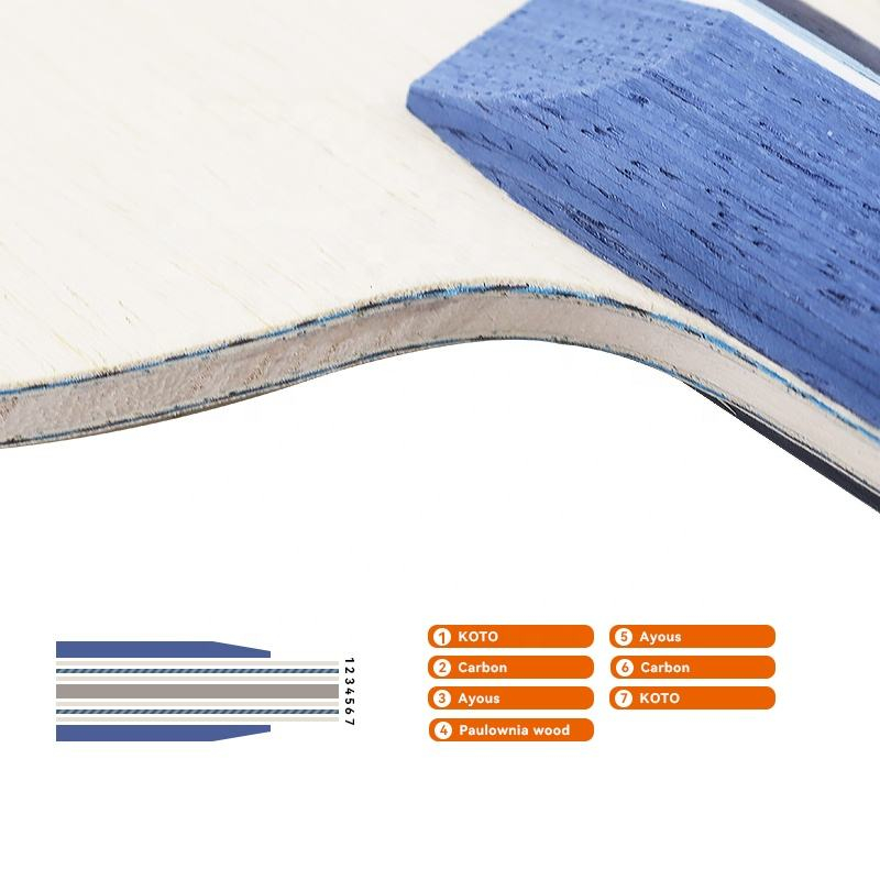 1 raquette de tennis de table  - Table Tennis Paddles avis et prix