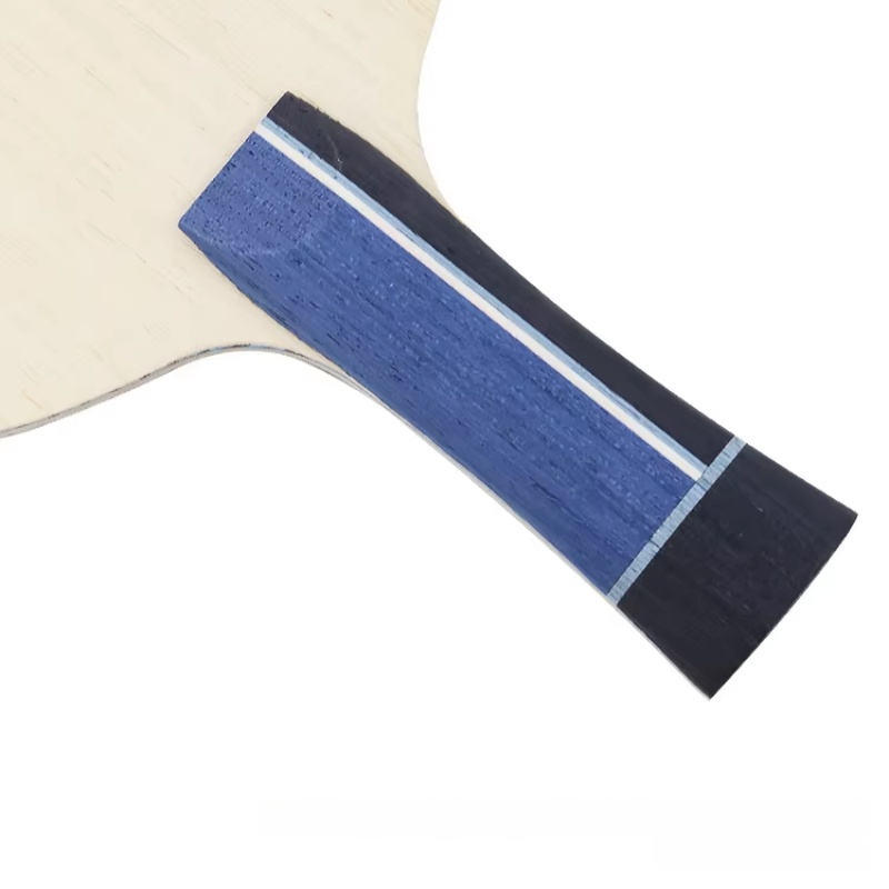 1 raquette de tennis de table  - Table Tennis Paddles avis et prix
